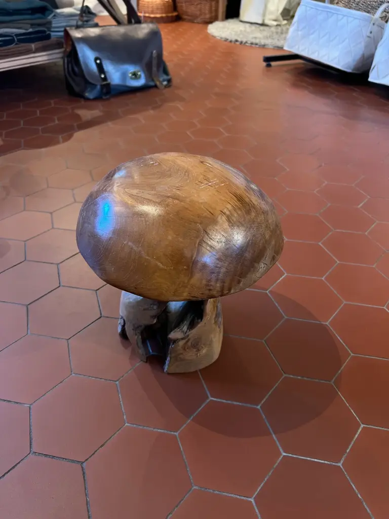 Petit champignon 