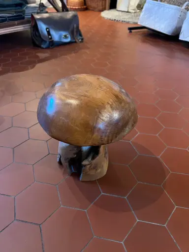 Petit champignon 